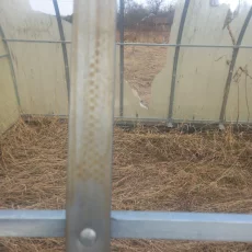 Теплица без поликарбоната