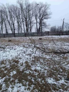 Дом по ул. Ванцетти