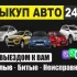 Легковой автомобиль, микроавтобус