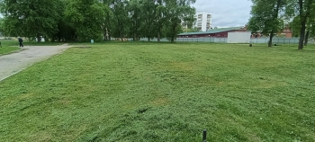 Покос травы