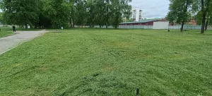 Покос травы
