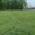 Покос травы