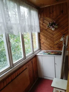 2-х комнатную квартиру в центре