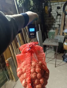 Картофель семянка