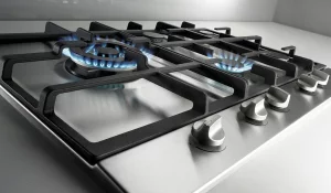 Ремонт духовых шкафов, варочных панелей, газовых плит, электроплит