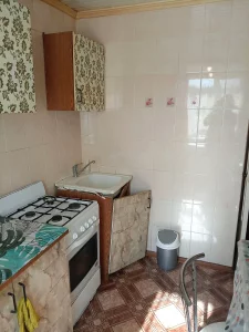 1-комнатная квартира рядом с гор.парком по ул. Московская, 100