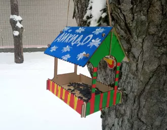 Юные айкидоки помогли птицам