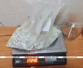 Бобруйчанка пыталась вынести готовую продукцию предприятия