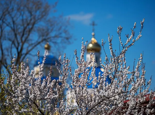 Погода на 21 апреля в Могилевской области