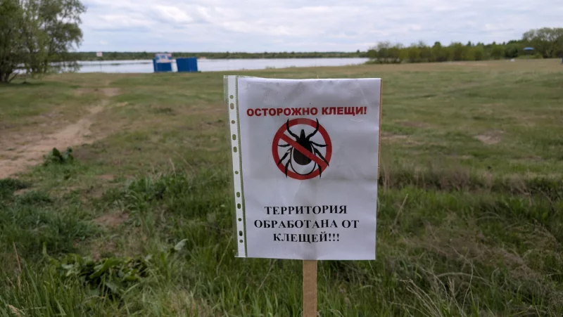 Обработано: пляжи Бобруйска защищены от клещей