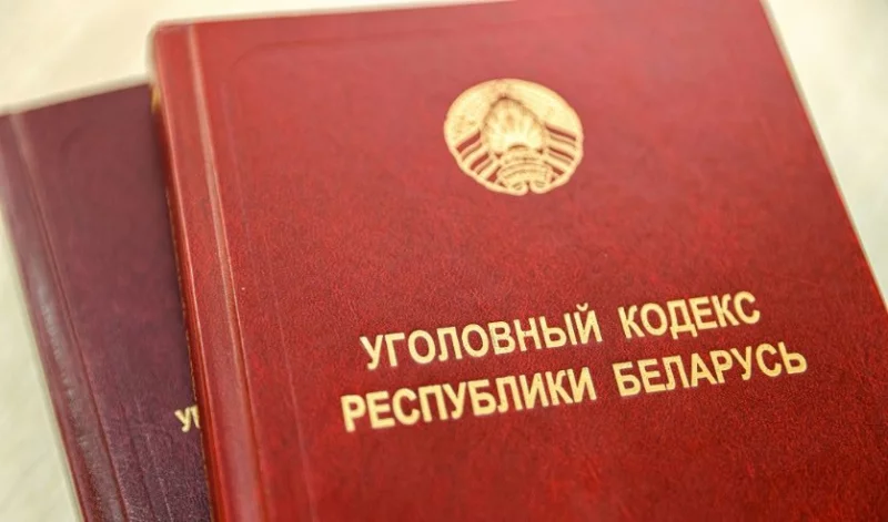 Мастер перманентного макияжа из Бобруйска стала фигурантом уголовного дела за содействие экстремизму