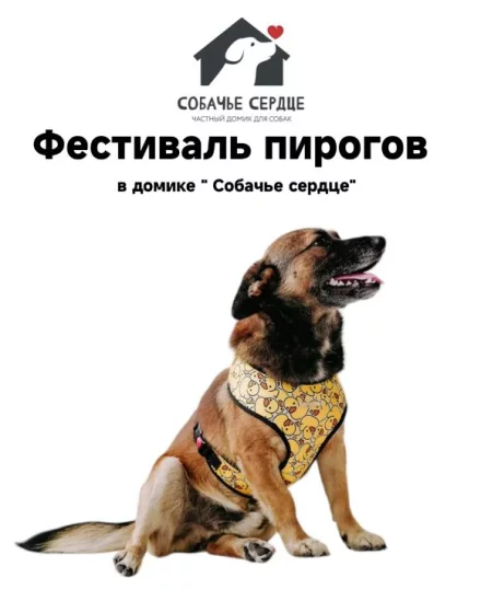 Фестиваль пирогов в домике «Собачье сердце»