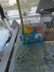 Клетка для грызунов