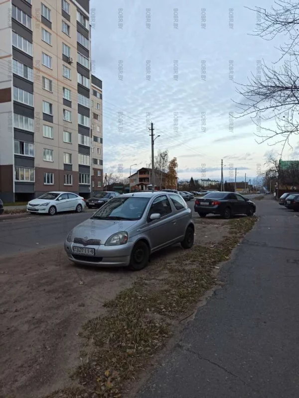 Любимые нарушители парковки