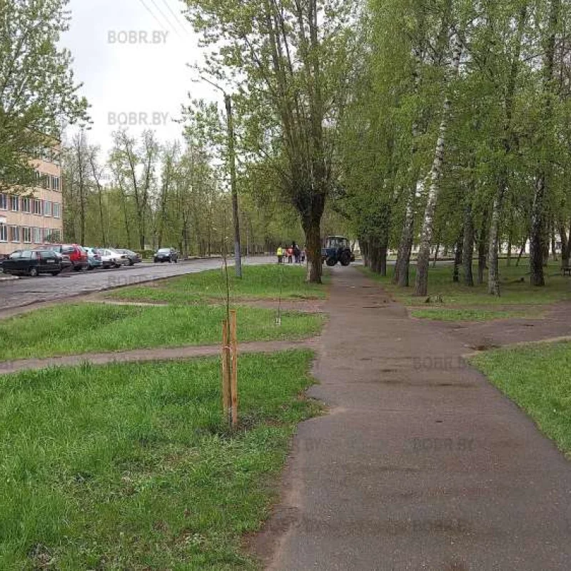 В авиагородке обновляют асфальт
