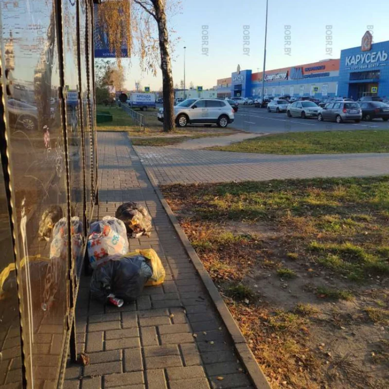 Вот так бобручане ввбрасывают мусор. Культура