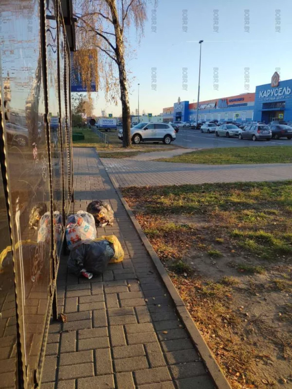 Вот так бобручане ввбрасывают мусор. Культура