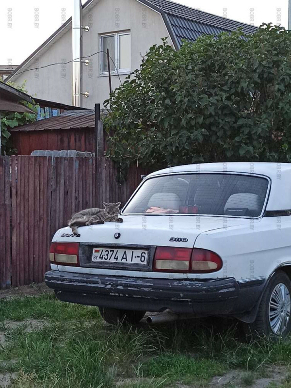 Троекотие