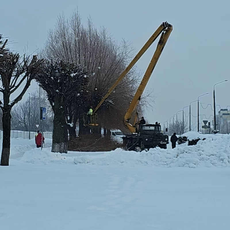 Обрезка деревьев на Георгиевском