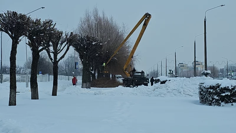 Обрезка деревьев на Георгиевском