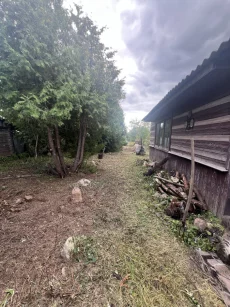 Дом-дача у реки Березина в д. Доманово (14 соток, 10 км от Бобруйска)