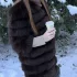 Шубка из песца