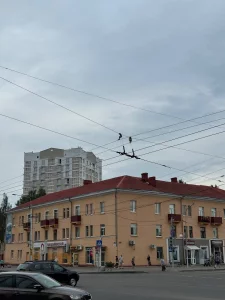 Трёхкомнатная &quot;сталинка&quot; в центре Бобруйска