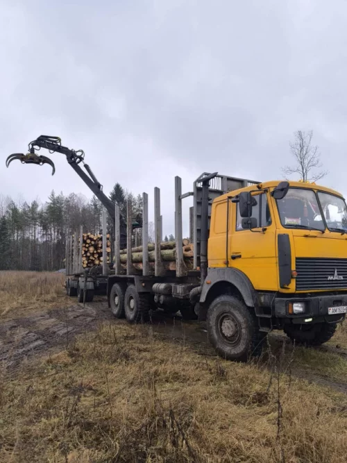 Услуги лесовоза вездехода