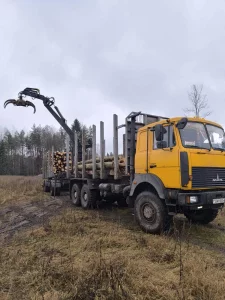 Услуги лесовоза вездехода