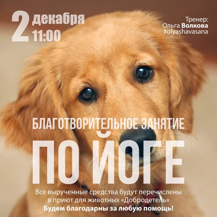 Приглашаем всех желающих 2 декабря!