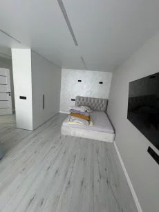 1 комнатную квартиру в центре