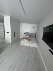 1 комнатную квартиру в центре