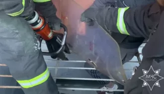 МЧС помогло мужчине, застрявшему ногой в металлической решетке в Бобруйске