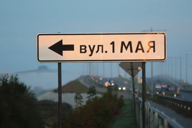 Туманная Березина, цапли и титовский мост. Фотопрогулка BOBR.BY на рассвете