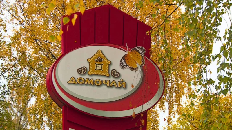 В компании «Домочай» действует институт наставничества для молодых специалистов