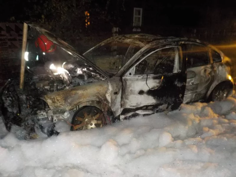 В Бобруйском районе на пожаре сгорела легковушка