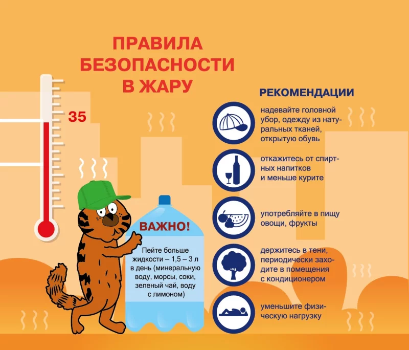 Правила безопасности в сильную жару