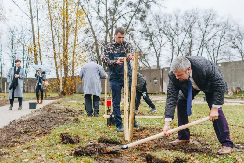 Закладка аллей, сказочные деревянные скульптуры: возле гостиницы Фандок создают парк для бобруйчан