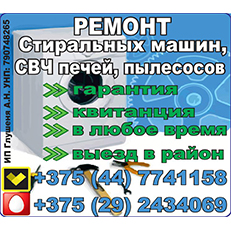 Глушеня (ИП). Ремонт стиральных машин, СВЧ печей, пылесосов