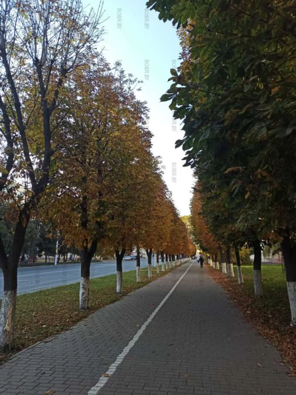 Красивая осенняя аллея на Минской