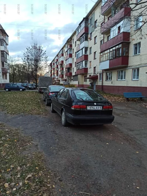 Любимые нарушители парковки