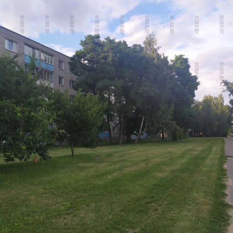 Посостригали траву, а то все о плохом