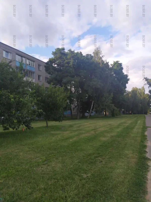 Посостригали траву, а то все о плохом