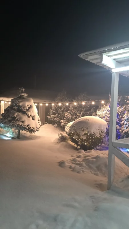 Вы только посмотрите, какая красота в усадьбе берёзовичи под бобруйском