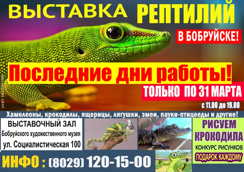 Не пропустите! Большая выставка рептилий в Бобруйске! Только до 31 марта