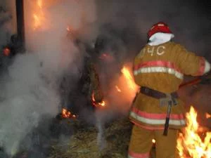 На пожаре в Бобруйском районе погиб мужчина