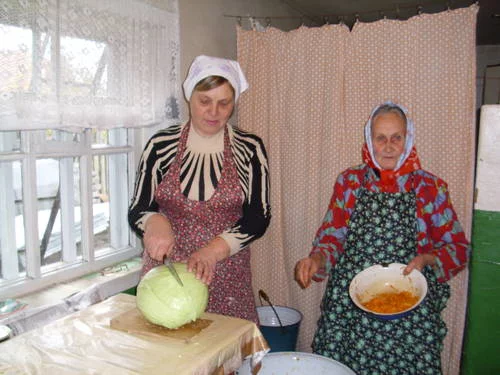 Моем, чистим дом, стрижем пенсионеров!