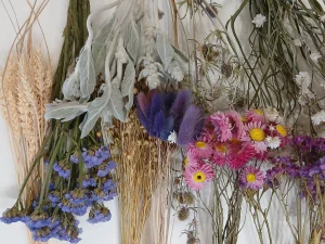 Букет из сухоцветов (более 100 веточек)