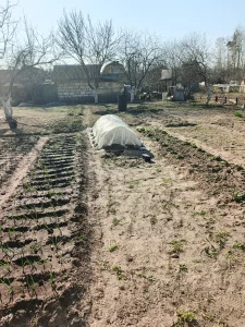 Дачу в СТ Спадчына Береговая 46