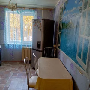 2-х комнатную квартиру в Киселевичах семейной паре